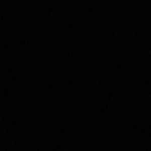 Meet your Posher, Trent